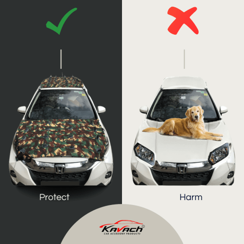 Car Cover with Spikes | Car Roof & Bonnet Protector From Dogs and Monkeys